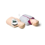 Little Ann QCPR przekrój wnętrza klatki